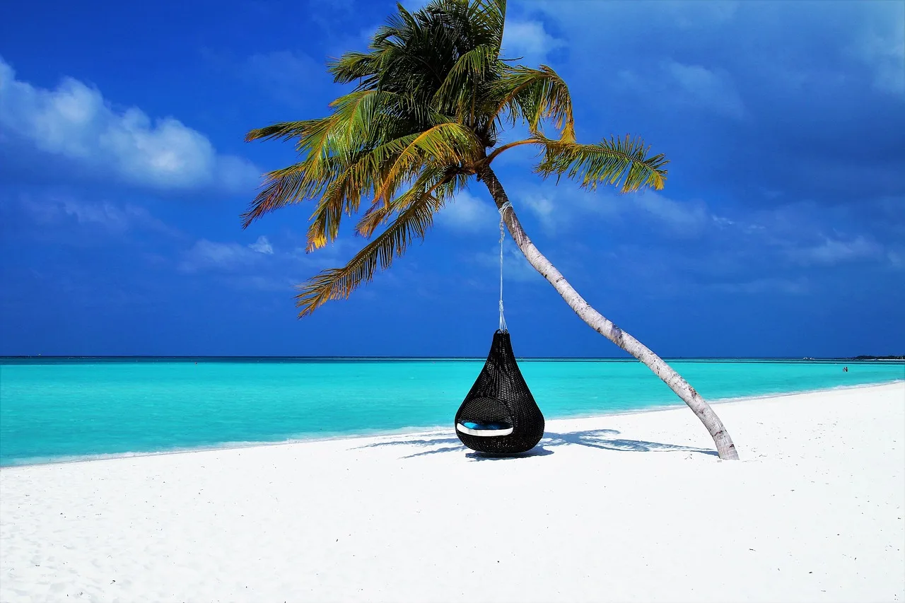 une plage de sable blanc avec des palmiers et des vagues une plage de sable blanc avec des palmiers et des vagues